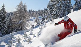 Freeride